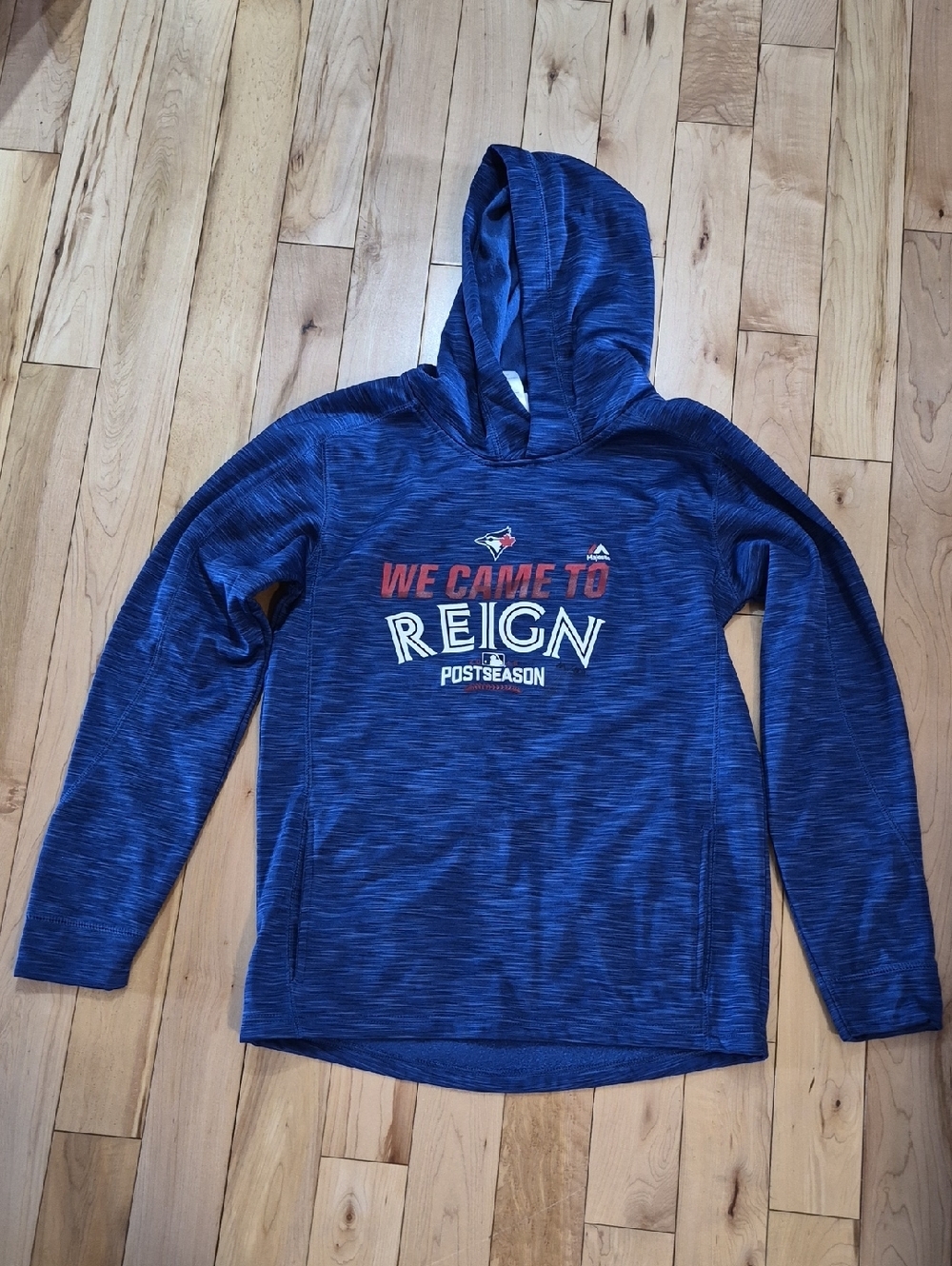 Boys Size 18 Toronto Blue Jays Majestic Blue 'We Came to Reign' Hoodie